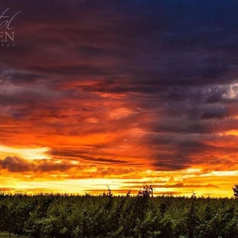 Alexandria Nicole Cellars - A June sunset from the Jet Black tiny house - Wineries Near Me - Prosser, Washington