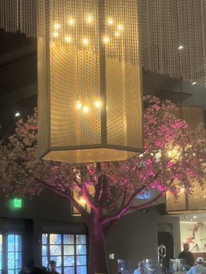 Okura Robata Grill & Sushi Bar by null