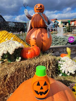 The Island in Pigeon Forge by null