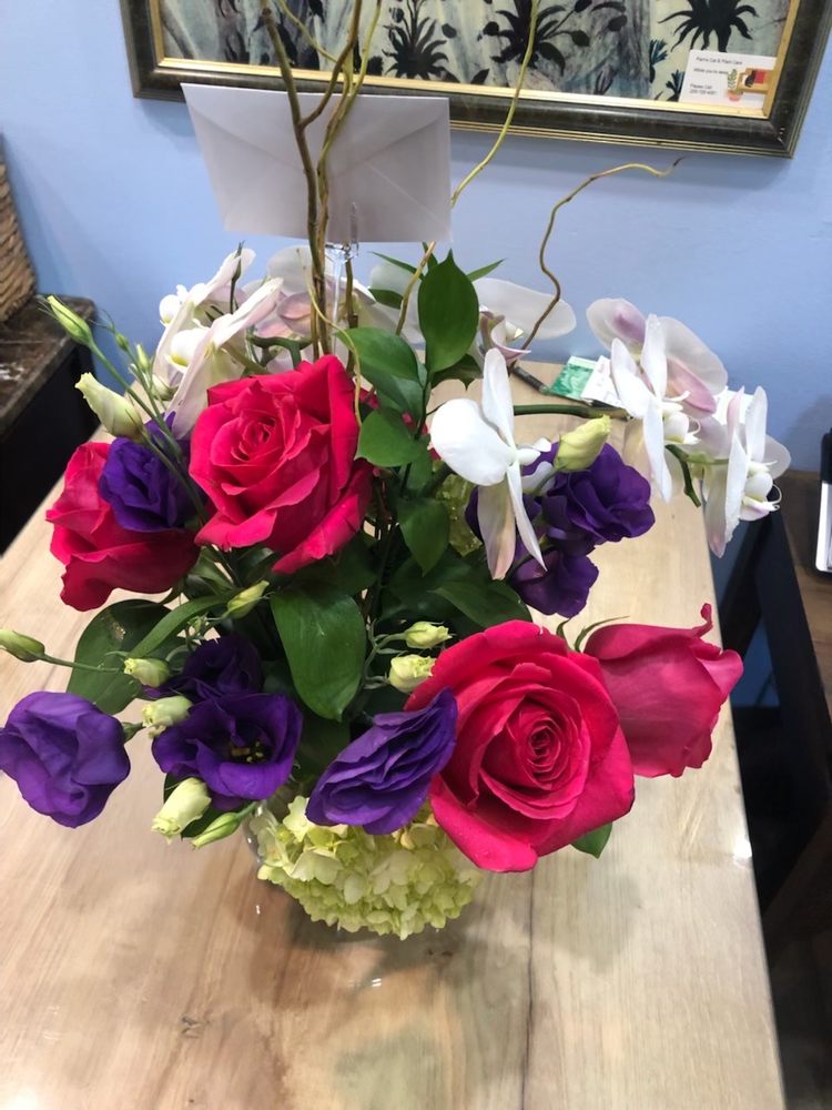 PRIMAVERA PLANTS & FLOWERS Updated August 2024 27 Photos 511