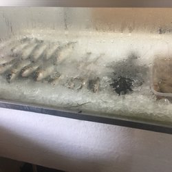 Nichol's & Son's Seafood