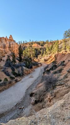 Mossy Cave Trailhead by null