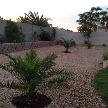Showready Landscape - Palm trees - Landscape Architects or Designers Near Me