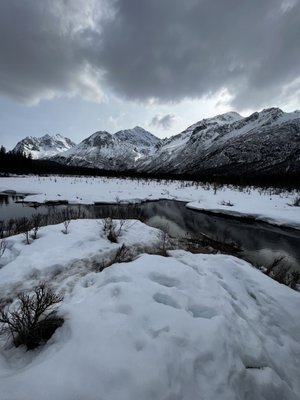 Eagle River Nature Center by null