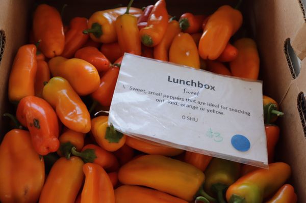 Tonnemaker Valley Farm & Woodinville Farm Stand by null