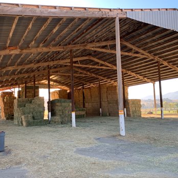 Kings River Ranch Hay Sales - Livestock Feed & Supply Near Me - Buellton, California Kings River Ranch Hay Sales - Livestock Feed & Supply Near Me - Buellton, California