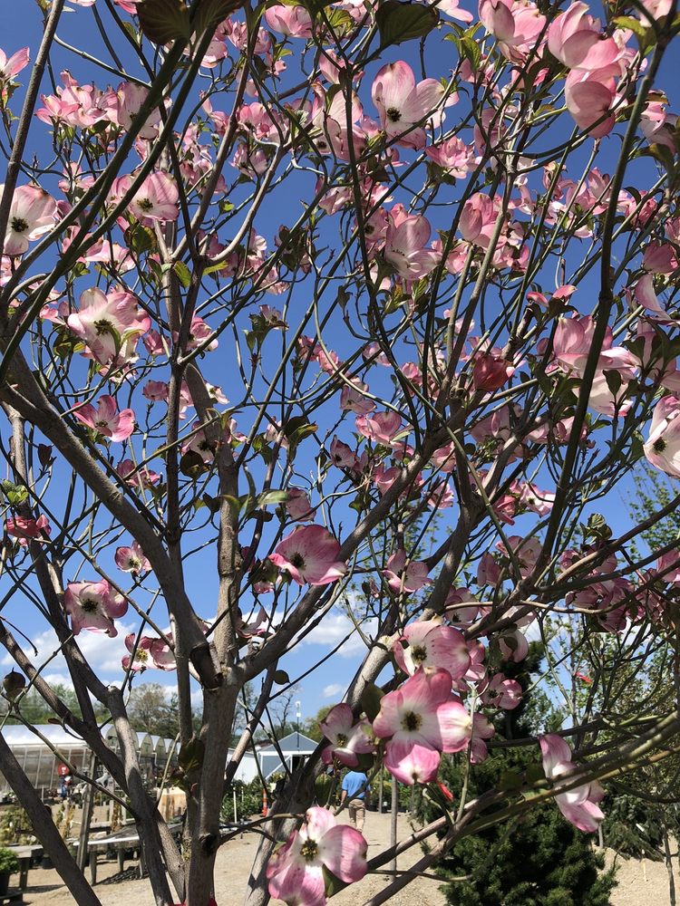 LAKEVIEW GARDEN CENTER & LANDSCAPING Updated August 2024 23 Photos