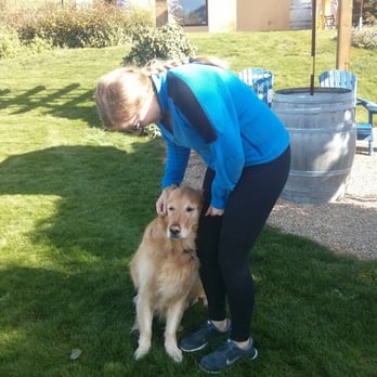Ruby Blues Winery - Meeting the local dogs at Ruby Blues Winery. - Wineries Near Me - Penticton, British Columbia Ruby Blues Winery - Meeting the local dogs at Ruby Blues Winery. - Wineries Near Me - Penticton, British Columbia