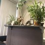Photo of Mission Chiropractic Care