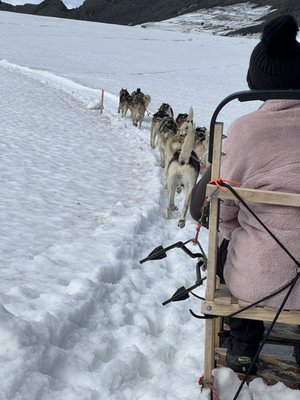 Alaska Helicopter Tours by null