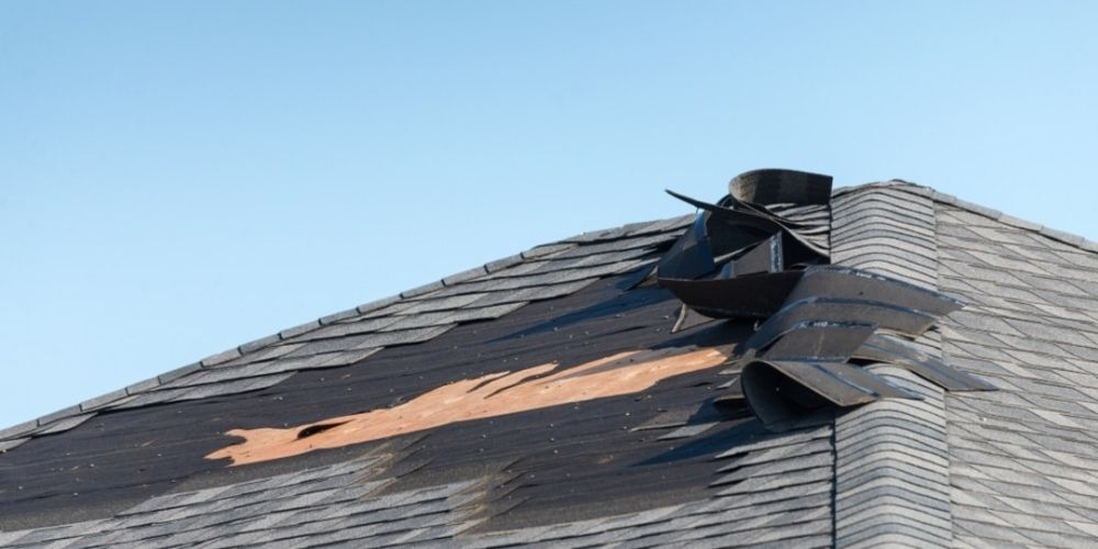 Slide of Pirate Roofing