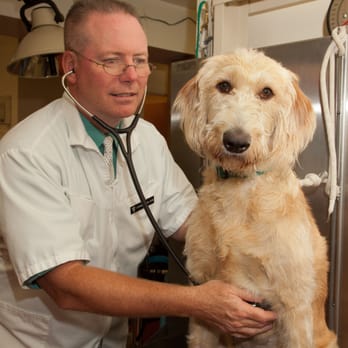 VCA Bath Animal Hospital - Veterinarians Near Me - Bath, Maine VCA Bath Animal Hospital - Veterinarians Near Me - Bath, Maine