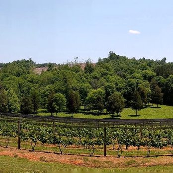 Zimmerman Vineyards - Wineries Near Me - Trinity, North Carolina