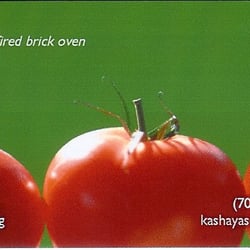 Kashaya's Portable Wood fired Pizza - Biz Card