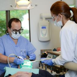 The Endodontic Group