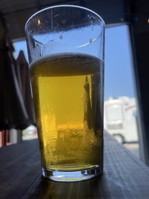 Bluebonnet Beer Company by null
