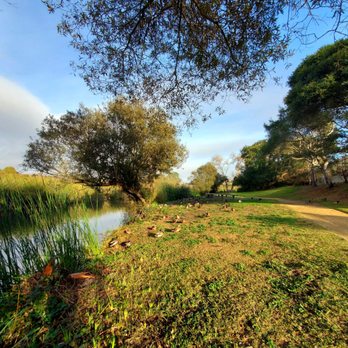 Neary Lagoon - Lagoon/ ducks - Parks Near Me - Santa Cruz, California Neary Lagoon - Lagoon/ ducks - Parks Near Me - Santa Cruz, California