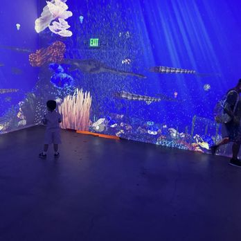 Dinos Alive - Interactive underwater room - Amusement Parks Near Me - West Sacramento, California Dinos Alive - Interactive underwater room - Amusement Parks Near Me - West Sacramento, California
