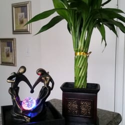 Love my new fountain and lucky bamboo plants!