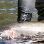 Photo of Explore Alaska Charters
