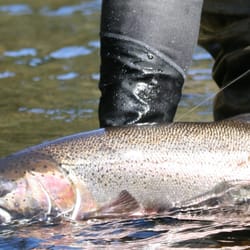 Explore Alaska Charters - Fly Out Fly Fishing.