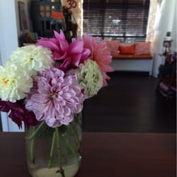 Ananda Wellness & Yoga Center