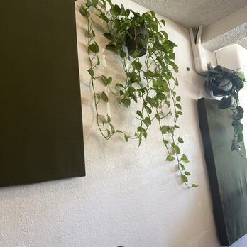 HolyBelly - Breakfast & Brunch Near Me - Grover Beach, California
