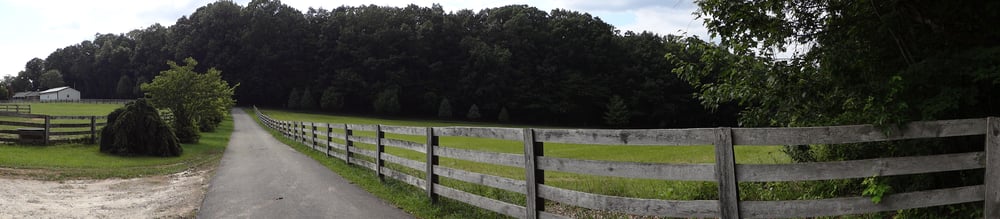 Brummel Horse Farm Logo