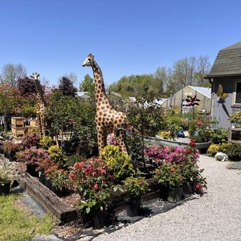 Country Colors Greenhouse - Nurseries & Gardening Near Me - Fredericktown, Ohio