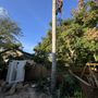 Photo of There’s a way tree service