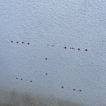 Sun Solar - backyard stucco that was promised to be repaired - A white stucco wall with multiple small red and black holes or marks arranged in a pattern. - Solar Installation Near Me - Bakersfield, California