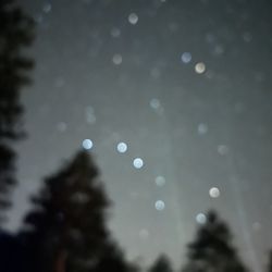 St. Croix State Park - Big Dipper bright in the night sky