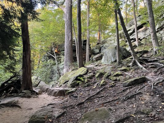 Cuyahoga Valley National Park by null