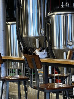 Roadmap Brewing Co. by null