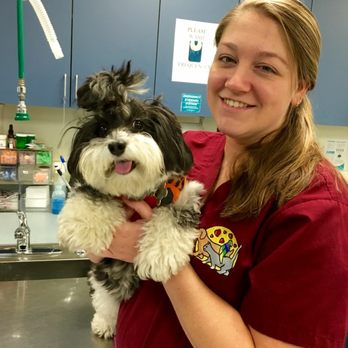 Wignall Animal Hospital, A Thrive Pet Healthcare Partner - Veterinarians Near Me - Dracut, Massachusetts Wignall Animal Hospital, A Thrive Pet Healthcare Partner - Veterinarians Near Me - Dracut, Massachusetts