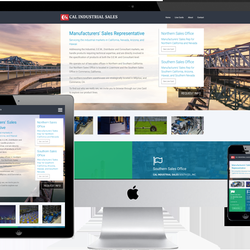 Sky 1 Technologies - https://sky1.us/project/custom-website-design-manufacturers-sales-rep/