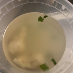 Wonton Soup