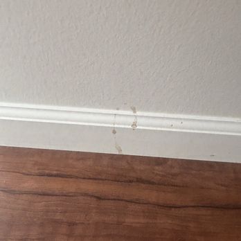The Home Clean Up - Untouched - Home Cleaning Near Me The Home Clean Up - Untouched - Home Cleaning Near Me