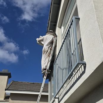 Eli the Bee Guy - Eli scooping up remaining bees to find them a new home. - Pest Control Near Me