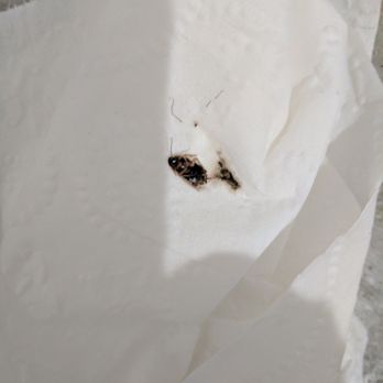 The Hot Room - Found 2 roaches in restrooms. Informed instructor 6am class,she didn't care. I killed roach w/ no choice,needed shower to go to work. - Yoga Near Me - Long Beach, California The Hot Room - Found 2 roaches in restrooms. Informed instructor 6am class,she didn't care. I killed roach w/ no choice,needed shower to go to work. - Yoga Near Me - Long Beach, California
