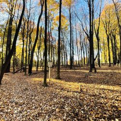 Heritage Park - Hiking trail