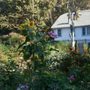 Photo of Southside Park Community Garden