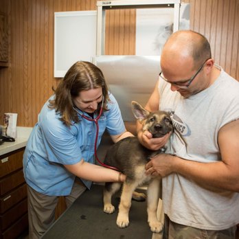 Dwight Veterinary Clinic - Dr. Haag-Eggenberger listens to a puppy's heart at Dwight Veterinary Clinic. - Veterinarians Near Me - Dwight, Illinois Dwight Veterinary Clinic - Dr. Haag-Eggenberger listens to a puppy's heart at Dwight Veterinary Clinic. - Veterinarians Near Me - Dwight, Illinois