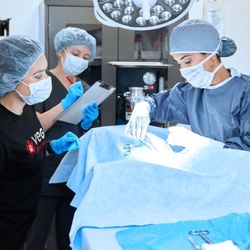 VEG ER for Pets - VEG veterinarians in surgery