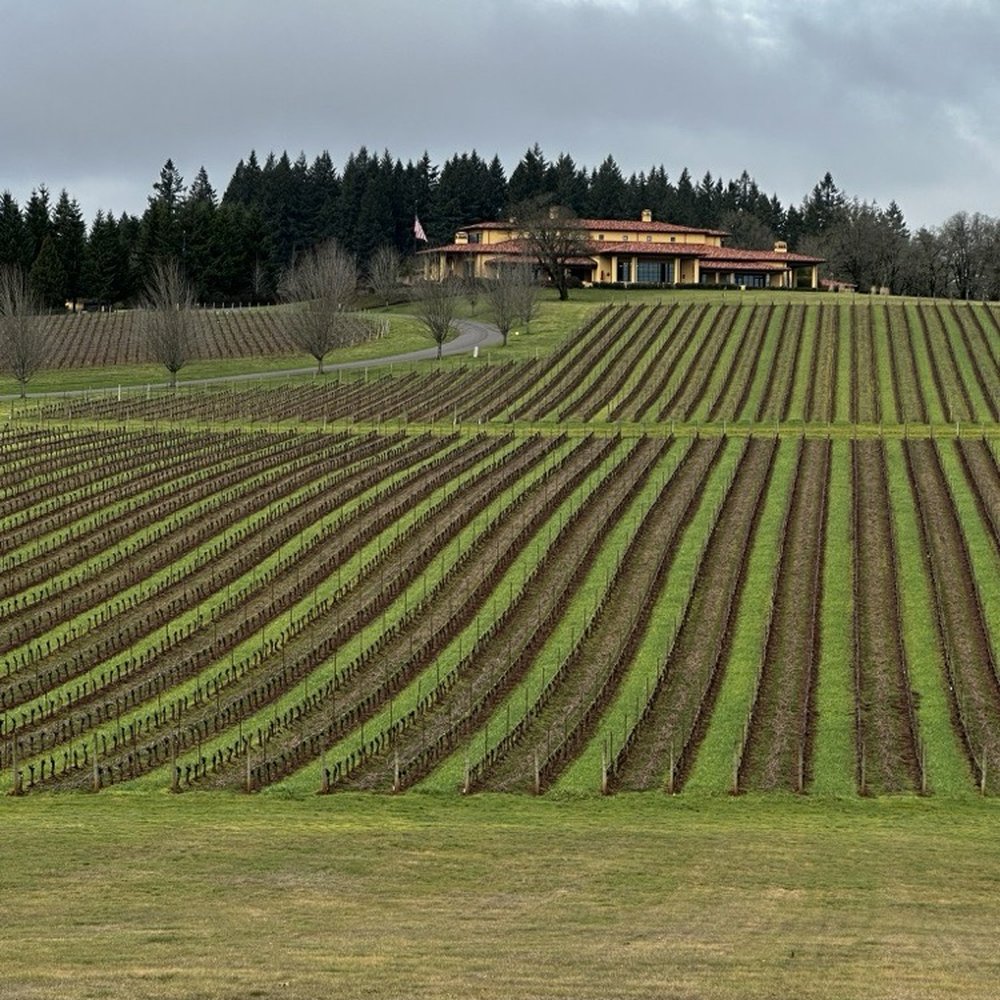 Tesla Custom Winery Tours - Wine Tours Near Me - Portland, Oregon Tesla Custom Winery Tours - Wine Tours Near Me - Portland, Oregon