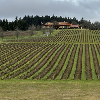 Tesla Custom Winery Tours - Wine Tours Near Me - Portland, Oregon Tesla Custom Winery Tours - Wine Tours Near Me - Portland, Oregon