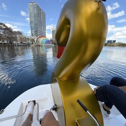 Lake Eola Park - Lake Eola Swan boat