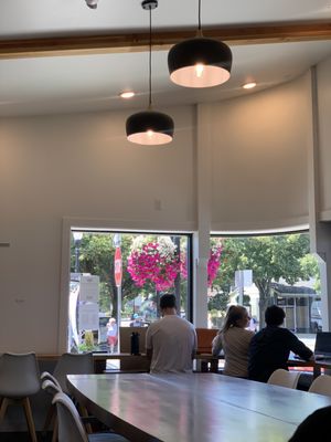 Lionheart Coffee Company by null