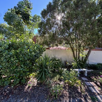 Ameri-Tech Companies - Pretty landscape - Real Estate Services Near Me - Clearwater, Florida Ameri-Tech Companies - Pretty landscape - Real Estate Services Near Me - Clearwater, Florida