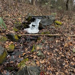 WNC Nature Center - Tiny waterfall